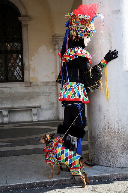 Photo:  Mask with Dog of Venezia Carnival